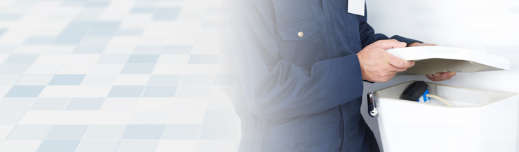 Client receiving plumbing services from experienced technicians.